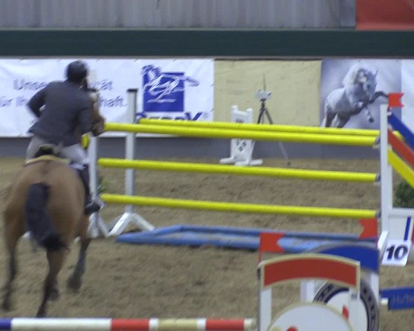 Reitturnier Münster-Handorf 2018