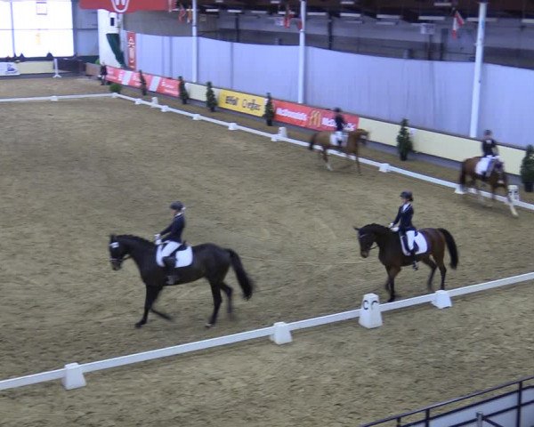 Reitturnier Münster-Handorf 2018