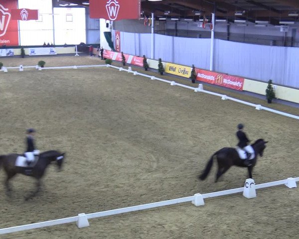 Reitturnier Münster-Handorf 2018
