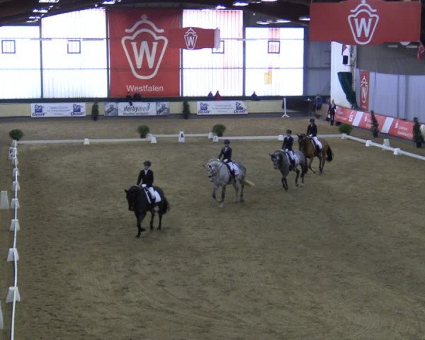 Reitturnier Münster-Handorf 2018