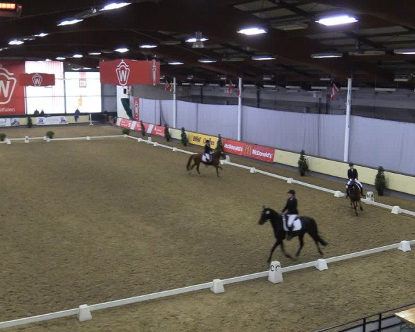 Reitturnier Münster-Handorf 2018