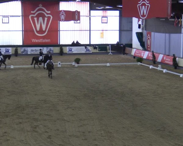 Reitturnier Münster-Handorf 2018