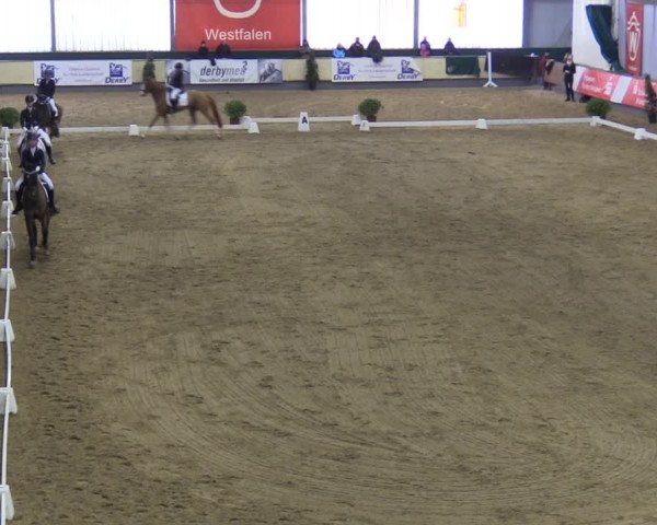 Reitturnier Münster-Handorf 2018