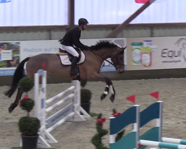 Nordic Jumping events 2018