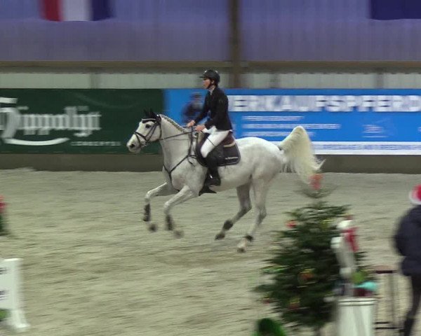 Nordic Jumping events 2018