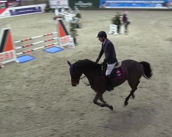 Nordic Jumping events 2018
