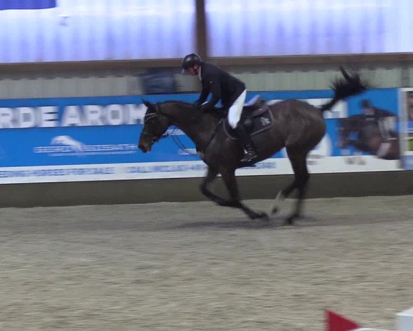 Nordic Jumping events 2018