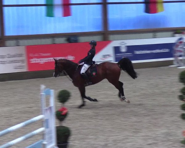 Nordic Jumping events 2018
