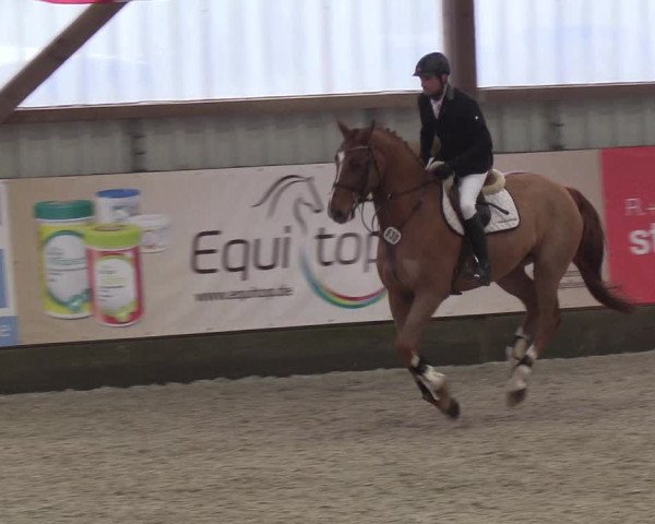 Nordic Jumping events 2018