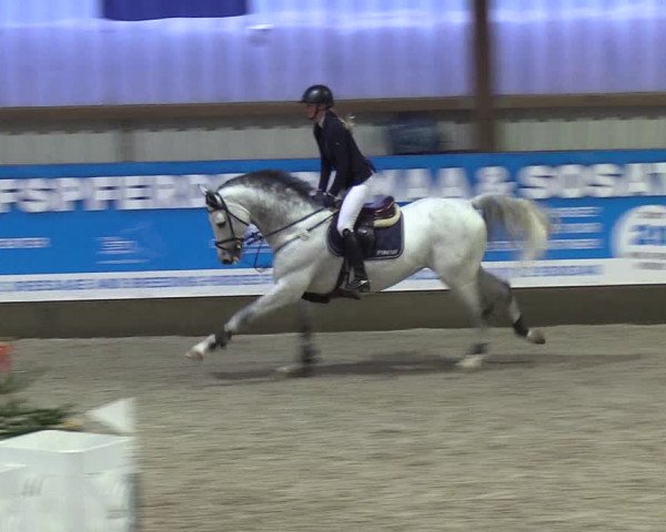Nordic Jumping events 2018