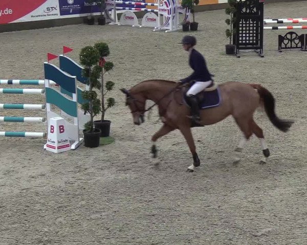 Nordic Jumping events 2018