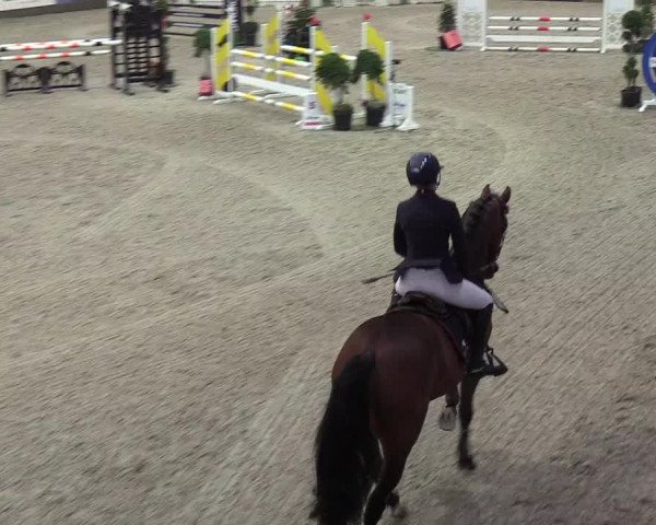 Nordic Jumping events 2018