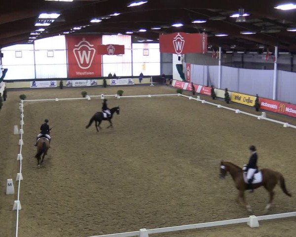 Reitturnier Münster-Handorf 2018