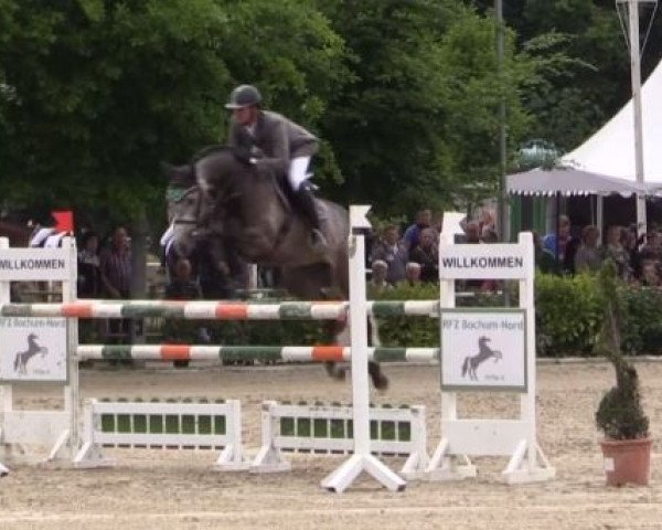 stallion Double Impact 2 (Oldenburg show jumper, 2009, from Diarado)