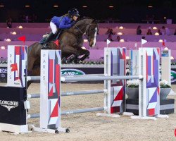 Springpferd Evalesco Dz (KWPN (Niederländisches Warmblut), 2009, von Cantos)