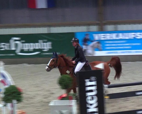 Nordic Jumping events 2018