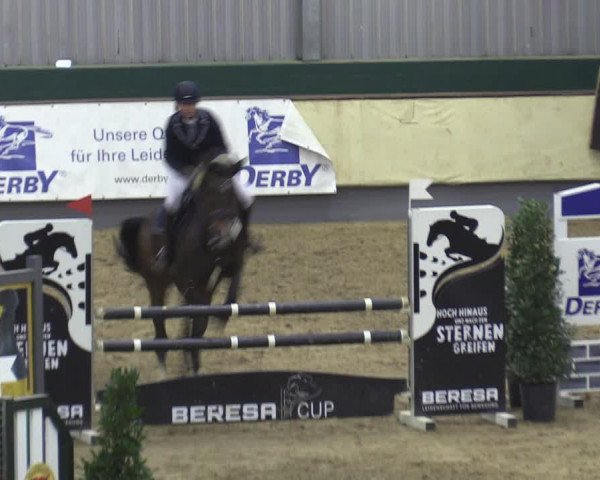 Reitturnier Münster-Handorf 2018