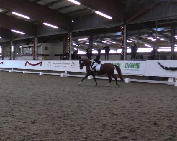 Reitturnier Alt Marl 2018