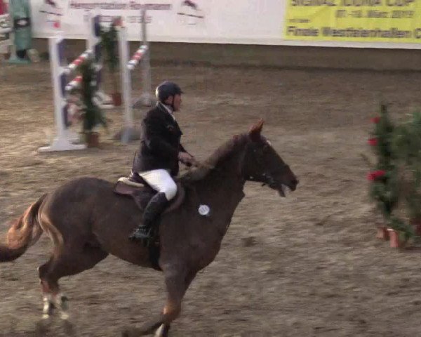 Reitturnier Alt Marl 2018