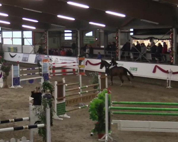 Reitturnier Alt Marl 2018