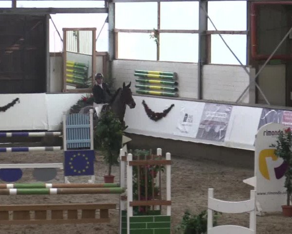 Reitturnier Alt Marl 2018