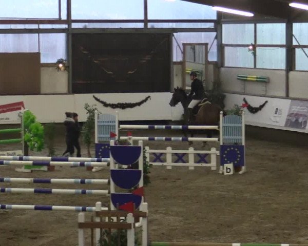 Reitturnier Alt Marl 2018