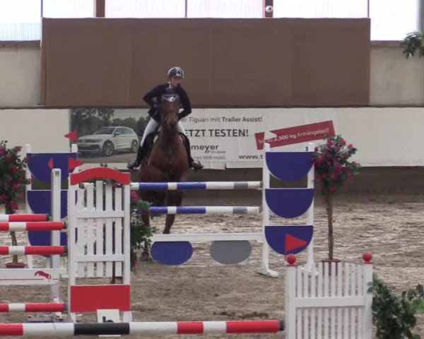 Reitturnier Alt Marl 2018