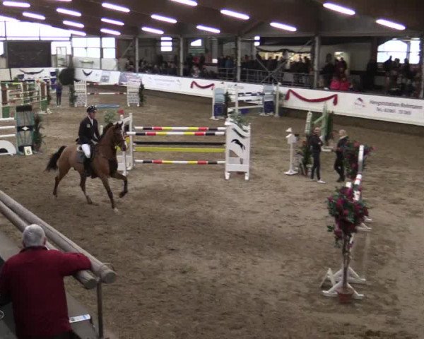 Reitturnier Alt Marl 2018