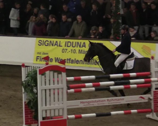 Reitturnier Alt Marl 2018