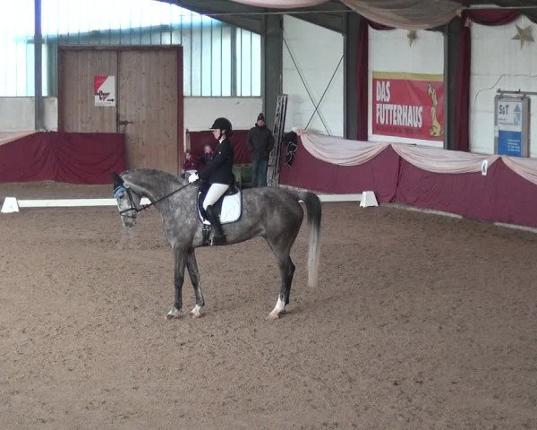 Reitturnier Eppelheim 2019