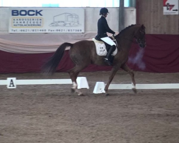 Reitturnier Eppelheim 2019