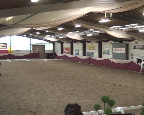 Reitturnier Eppelheim 2019