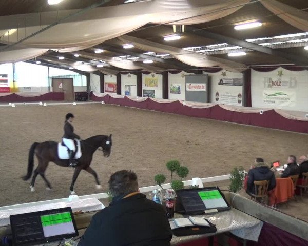Reitturnier Eppelheim 2019