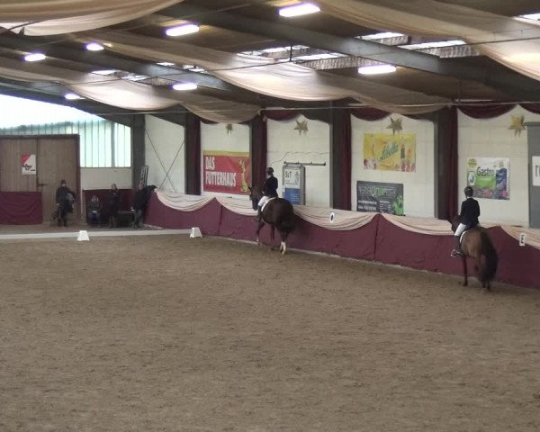Reitturnier Eppelheim 2019
