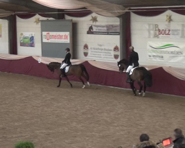 Reitturnier Eppelheim 2019