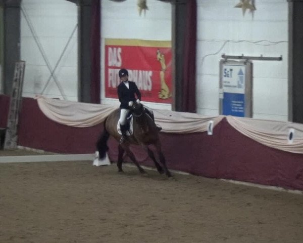 Reitturnier Eppelheim 2019