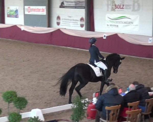 Reitturnier Eppelheim 2019