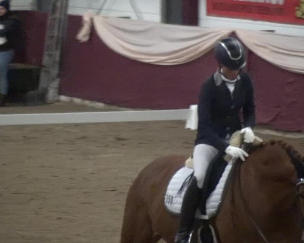 Reitturnier Eppelheim 2019