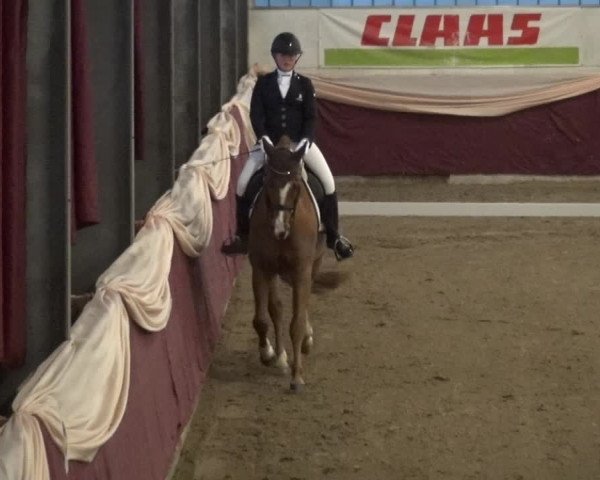 Reitturnier Eppelheim 2019