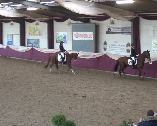 Reitturnier Eppelheim 2019