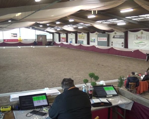 Reitturnier Eppelheim 2019