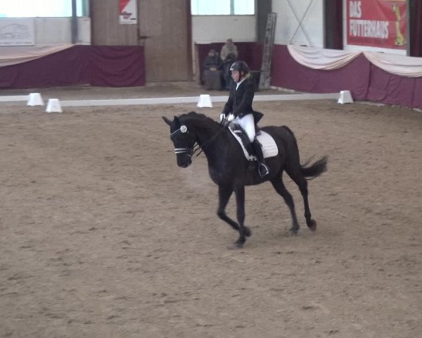 Reitturnier Eppelheim 2019