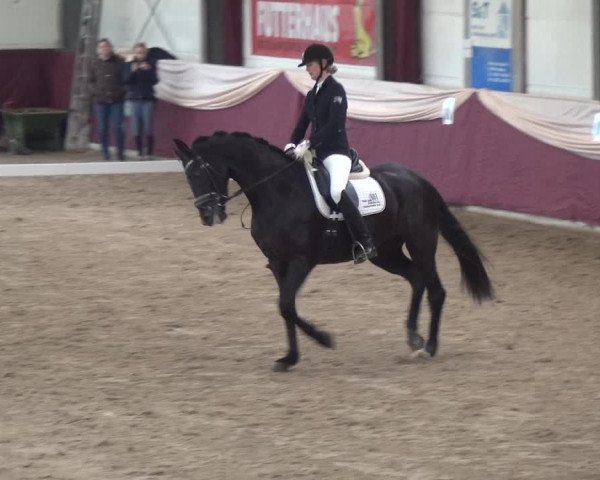 Reitturnier Eppelheim 2019