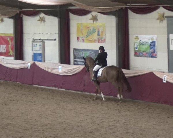 Reitturnier Eppelheim 2019