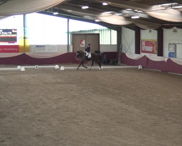 Reitturnier Eppelheim 2019