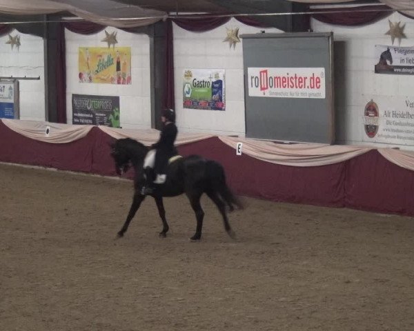 Reitturnier Eppelheim 2019