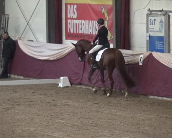 Reitturnier Eppelheim 2019