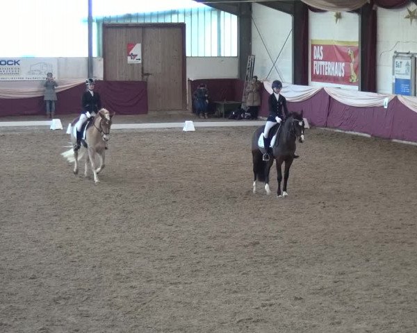 Reitturnier Eppelheim 2019