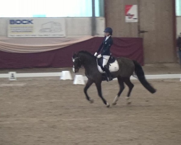 Reitturnier Eppelheim 2019
