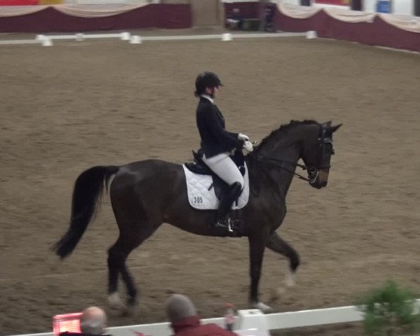 Reitturnier Eppelheim 2019